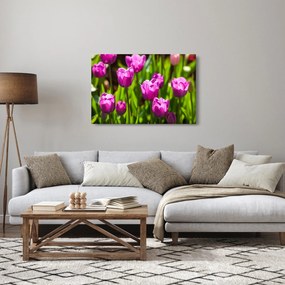 Tulipánok a réten képe (90x60 cm)