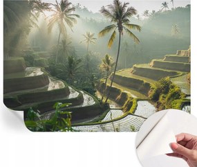 Öntapadós Stílusos Dekoratív Fotótapéta Paradicsom teraszok 208x146 cm