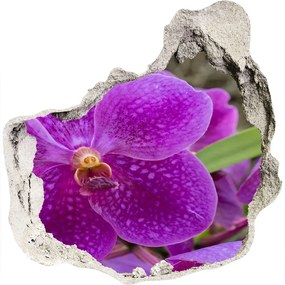 3d-s lyuk vizuális effektusok matrica Orchidea nd-p-64607986