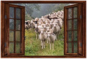 Poszterek 60x40 Juh legeltetés Bárányok