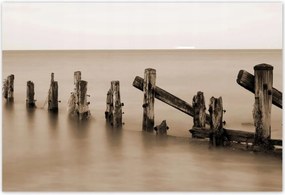 Poszterek 200x135 Hullámtörő fa