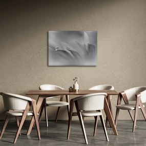 Kép - Csepp a virágon, fekete-fehér (70x50 cm)