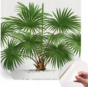 Öntapadós tapéta Divatos 3D fali ragasztó Egzotikus minta 250x250 cm