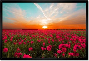 Poszter keretben 60x40 Rózsaszín pipacsok Naplemente