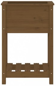 mézbarna tömör fenyőfa növénytartó polccal 54 x 34,5 x 81 cm