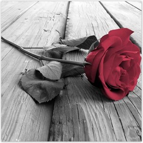 Poszterek 100x100 Rózsa a mólón