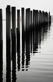 Poszter 53x81cm Víz és fa ritmus