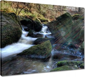 Vászonkép 50x40 Látvány Hegyi folyó