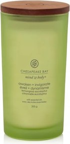 Chesapeake By Candle Nagy Citromfű Zöld Gyertya 355 g