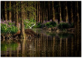 Poszterek 100x70 Tájkép Látvány