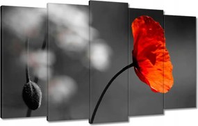 Vászonkép 100x60 Virágzó piros pipacs