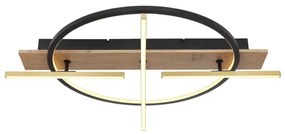 Globo 67295D1 - BEATRIX LED mennyezeti lámpa LED/44W/230V