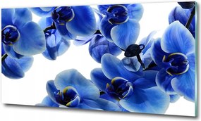 Fotó üvegkép Kék orchidea 125x50