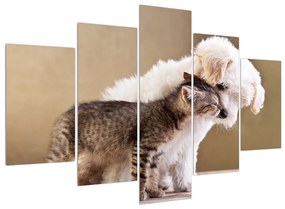 Macska és kutya képe (150x105 cm)