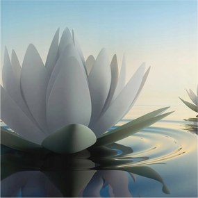 Fotótapéta Flizelina Nappali és Hálószoba Irodába Vízi liliomok 250x250 Ragasztó