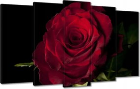 Vászonkép 100x60 Vörös rózsa