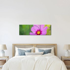 Kép - réti virág (órával) (90x30 cm)