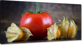 Festmények 115x55 Konyhai képek Forradalmak