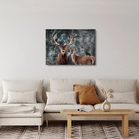Kép - szarvas és őzike egy havas erdőben (üvegen) (70x50 cm)
