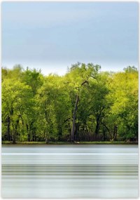 Poszterek 70x100 Erdő Tó Mennyország