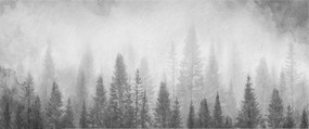 Flizelin fotótapéta Flizelin Designer Erdei köd 250x104 Ragasztó