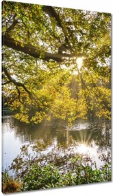 Festmények 80x120 Tájkép