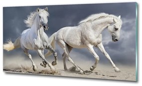 Üvegkép White horse beach osh-106869148