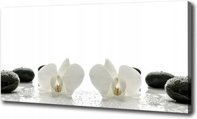 Canvas falikép Orchidea 120x60 cm