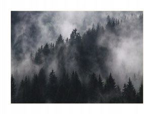 Fém poszter Fali dekoráció Erdő a ködben 40x30
