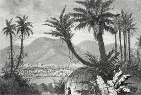 Stílusos Dekoratív Fotótapéta Trópusi oázis 104x70 Ragasztó