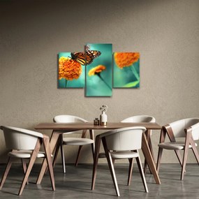 Egy pillangó képe (90x60 cm)