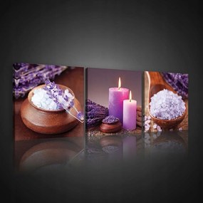 Vászonkép képek virágok spa 75x25