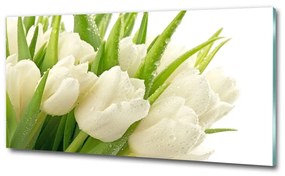 Egyedi üvegkép Fehér tulipán osh-49549577