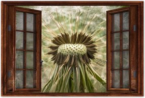 Poszterek 90x60 Pitypang makró fotó