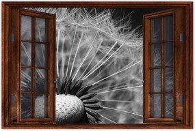 Poszterek 60x40 Pitypang Virág Virágok