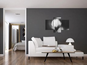 Kép - Fekete-fehér pamutfű (90x60 cm)