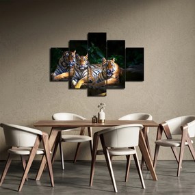 Kép - Tigris testvérek (150x105 cm)