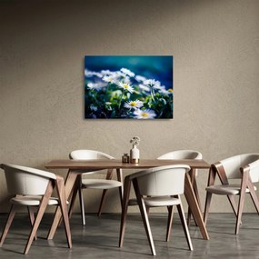 Százszorszépek képe (üvegen) (70x50 cm)