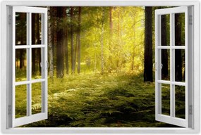 Poszterek 120x80 Napfelkelte az erdőben