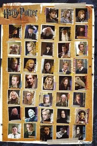 Plakát Harry Potter - Karakterek, (61 x 91.5 cm)
