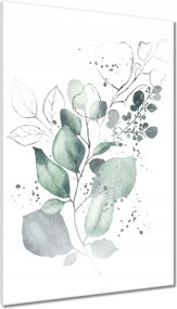 Vászonkép 80x120 Eukaliptusz ág