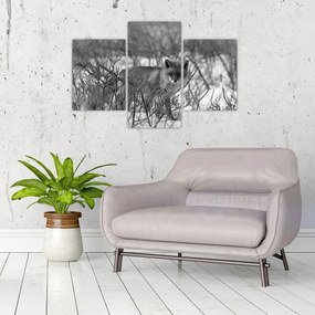 Kép - Róka télen (90x60 cm)