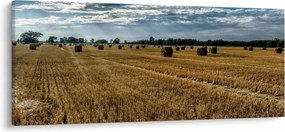 Betakarított gabona mező képe (120x50 cm)
