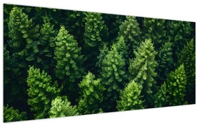 Kép - Forest (120x50 cm)