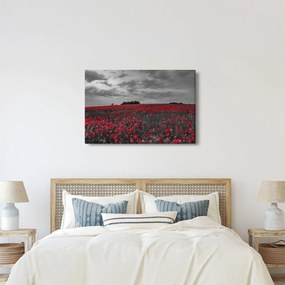 Pipacsos kép (90x60 cm)