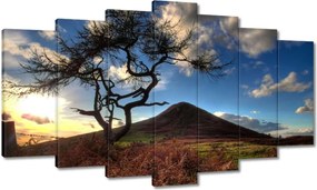 Festmények 140x80 Fa