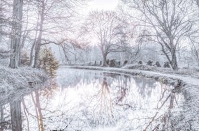 Poszter 86,4x56,8cm Csatorna fĂĄkkal, Assaf Frank