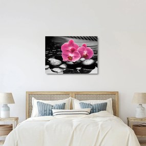 Üveg kép - Rózsaszín orchideák (70x50 cm)