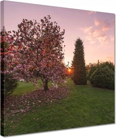 Festmények 30x30 Kilátás Tájkép