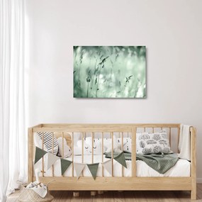 Üveg kép - Zöld rét (70x50 cm)